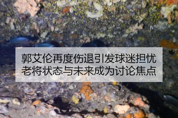 guo-ai-lun-zai-du-shang-tui-yin-fa-qiu-mi-dan-you-lao-jiang-zhuang-tai-yu-wei-lai-cheng-wei-tao-lun-jiao-dian-2-863.jpg
